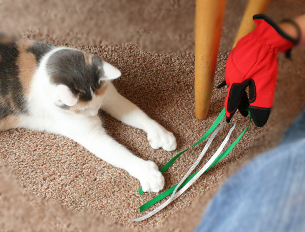 cat ribbon toy