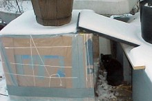 Box-Outdoor-Cat-Shelter