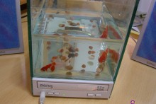 CD-Player-Fish-Tank