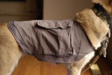 Cargo-Pants-Dog-Cooling-Vest