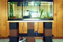 Cinder-Block-Aquarium-Stand