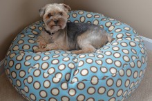 DIY-Bean-Bag-Dog-Bed