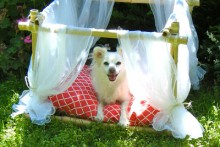 DIY-Canopy-Dog-Bed