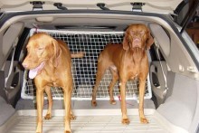 DIY-Car-Pet-Divider