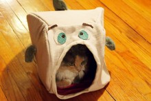 DIY-Cat-Fish-Hide
