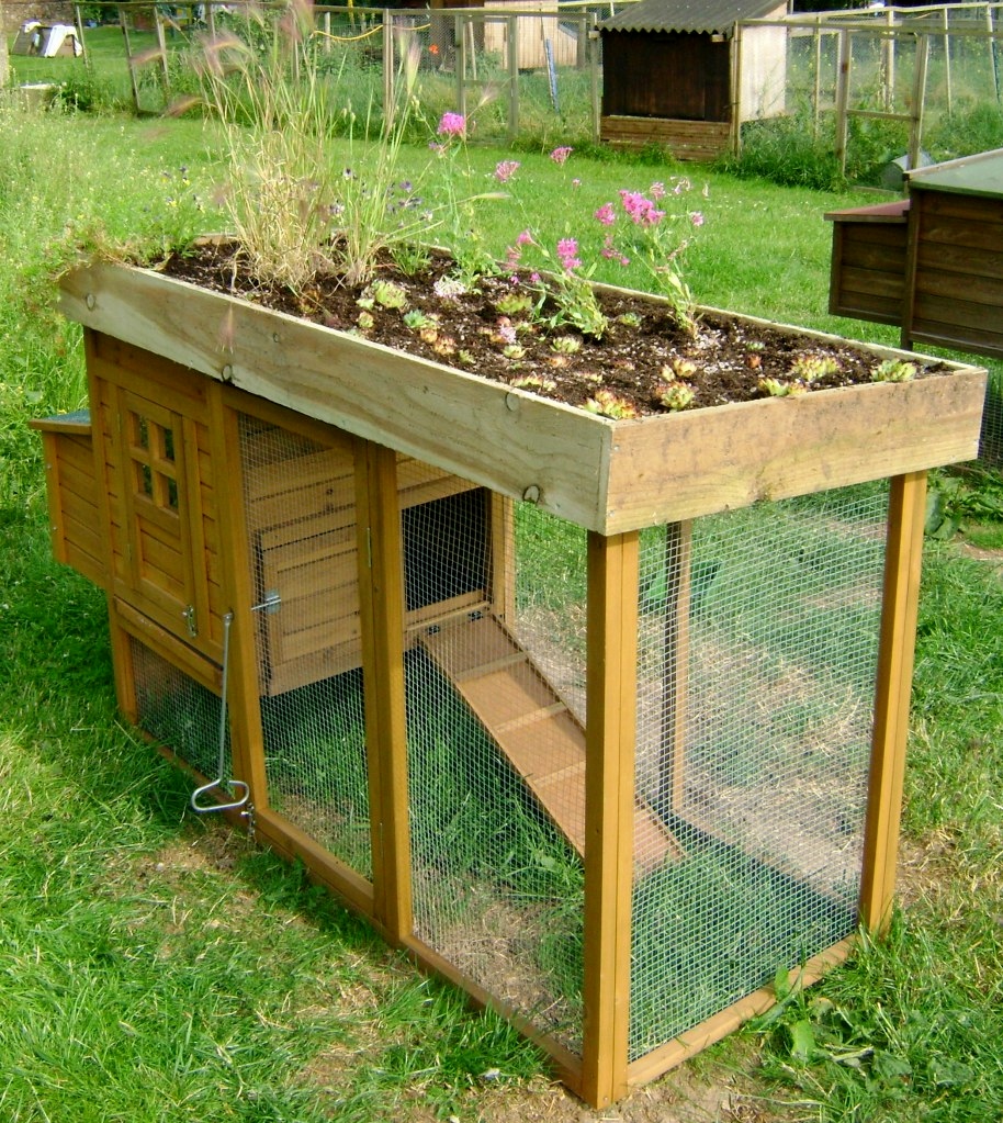 Coop Plans: Access Chicken coop with green roof plans