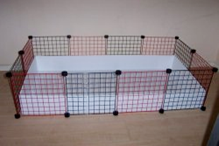 cube and coroplast cage