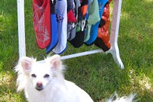 DIY-Dog-Clothes-Rack