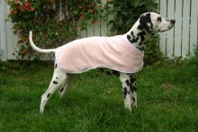 DIY-Dog-Cooling-Coat