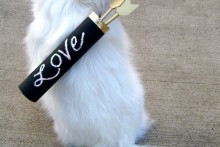 DIY-Dog-Cupid-Arrow-Carrier