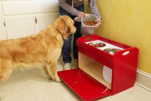 DIY-Dog-Food-Station