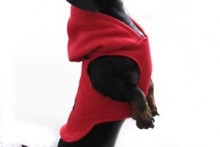 DIY-Dog-Hoodie-Sweatshirt