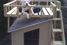 DIY-Doghouse-Roof-Deck1