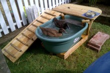 DIY-Duck-Pool-Deck