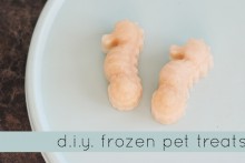 DIY-Frozen-Tuna-Pet-Treats1