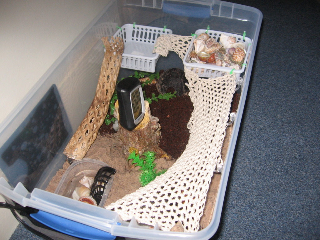  furniture diy hermit crab habitat use plastic containers to make a