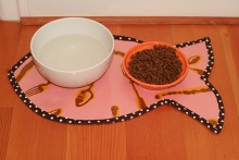 DIY-Pet-Food-Placemat