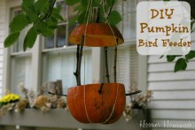 DIY-Pumpkin-Bird-Feeder