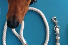 DIY-Rope-Dog-Leash