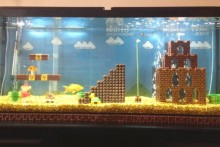 DIY-Super-Mario-Aquarium-Decor