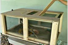 DIY-Toad-House (1)