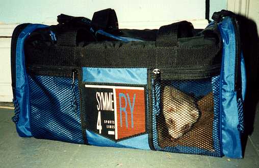 ferret carry bag