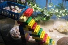 Lego-Hermit-Crab-Stairs