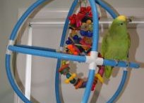 PVC-Parrot-Swing