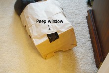 Paper-Bag-Cat-Toy