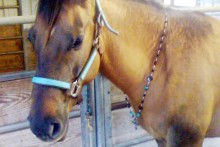 String-Horse-Necklace