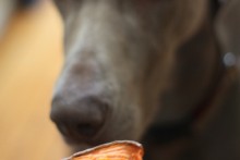 Sweet-Potato-Dog-Chews