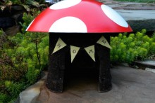 DIY Mushroom Toad House