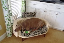 DIY Dog Couch