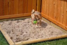 DIY Dog Digging Area