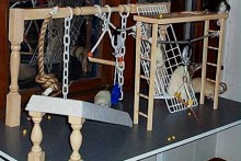 DIY-Spindle-Rat-Playground