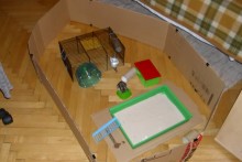 Cardboard-Hamster-Playpen