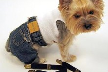 DIY-Dog-Pants