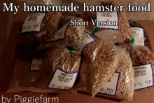 DIY-Hamster-Food-Mix