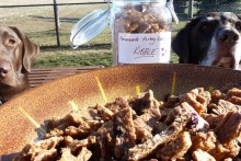 DIY-Turkey-Blueberry-Dog-Kibble