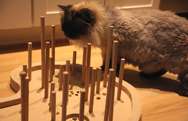 Diy Cat Foraging Feeder Petdiys Com