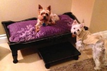 DIY-Changing-Table-Dog-Bed