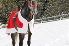 DIY-Santa-Horse-Blanket