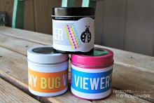 DIY-Bug-Viewing-Jar