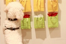 DIY-Dog-Bag-Advent-Calendar