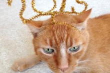 DIY-Cat-New-Year-Headband