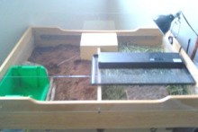 DIY-Drawer-Tortoise-Enclosure