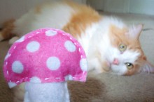 DIY-Fabric-Mushroom-Cat-Toy