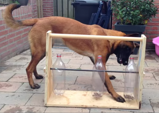 pop bottle dog treat dispenser