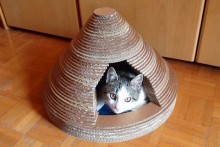DIY-Cardboard-Cat-Tepee