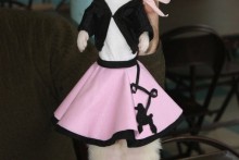 DIY-Doo-Wop-Ferret-Costume